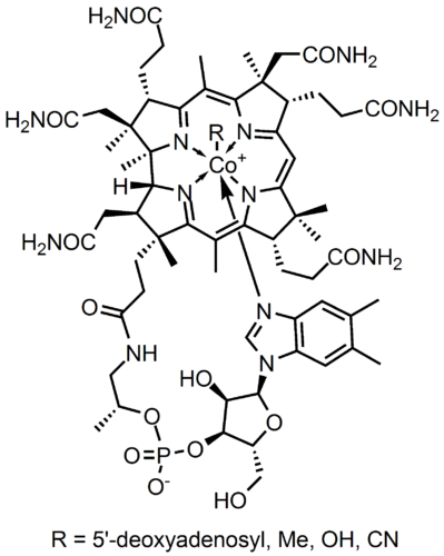 Vitamin B12 (cobalamin)